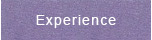 Experience